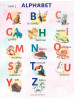 English Picture Dictionary for Kids