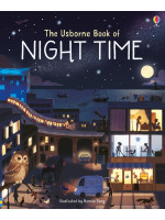 The Usborne Book of Night Time