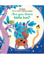 Little Peep-through Books: Are You There Little Bat?