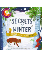 A Shine-a-Light Book: Secrets of Winter