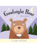 Goodnight Bear (A Magic Torch Book)