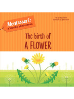 Montessori: The Birth of a Flower