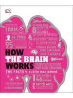 How the Brain Works