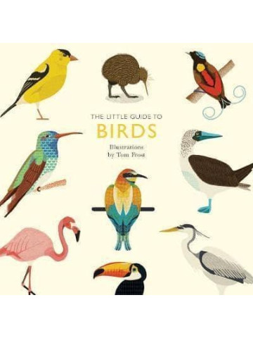 The Little Guide to Birds