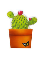Bloomnotes Cactus